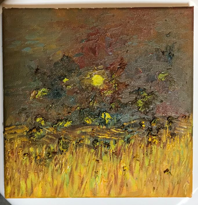 3 maal door landschap - nr. 2